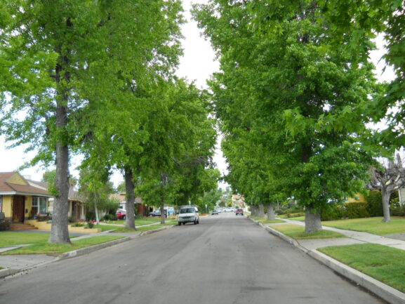 Suburban neighborhood street representing community connections built through local marketplaces