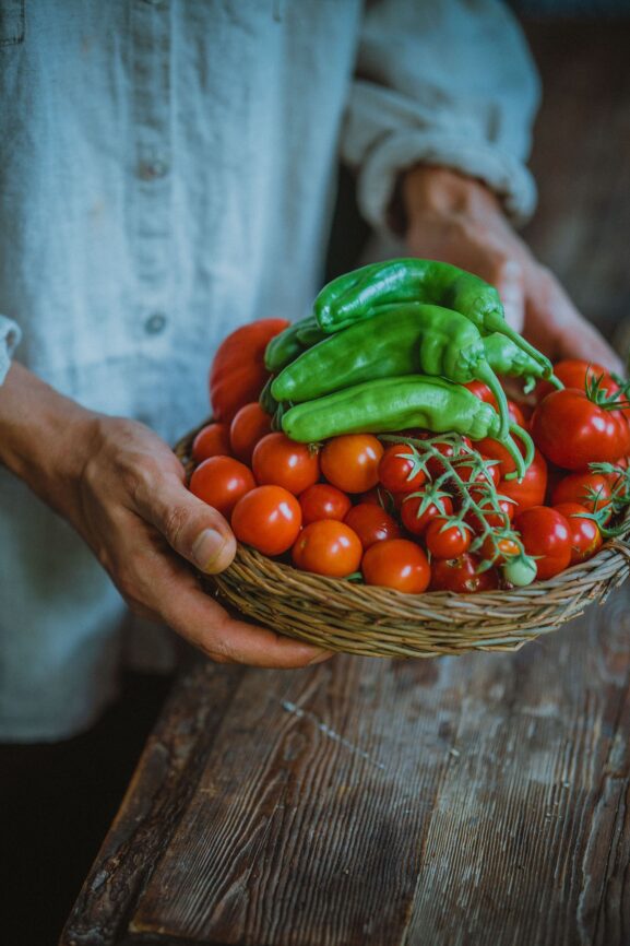 A fresh harvest of tomatoes and peppers in a basket, representing the farm-to-table movement in local food markets