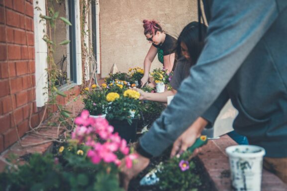 Neighbors planting colorful flowers together in a community garden bed