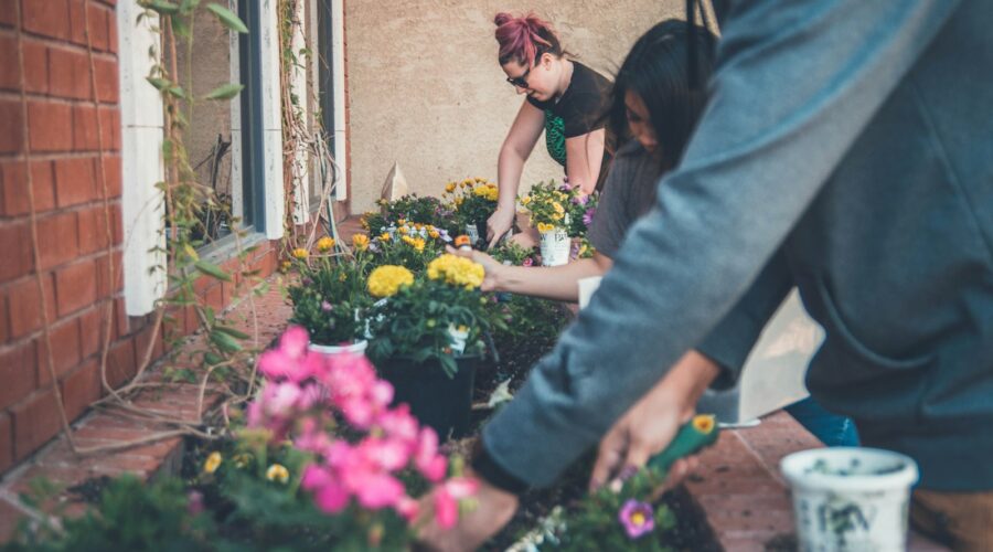 How Community Gardens Are Bringing Neighbors Together