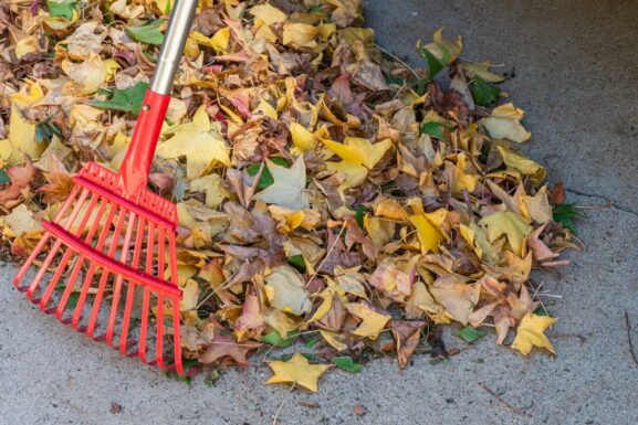 A red rake lying on a pile of fallen autumn leaves