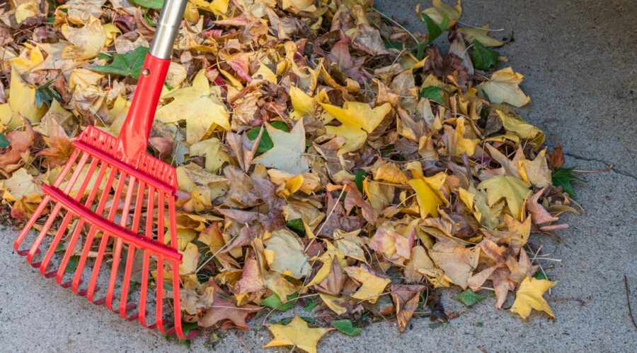 Seasonal Selling: What Sells Best Locally in Fall and Winter